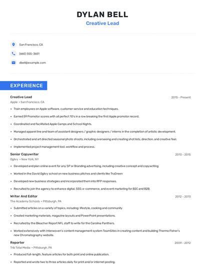 Creative Lead Resume