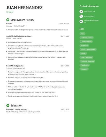 Resume example 4