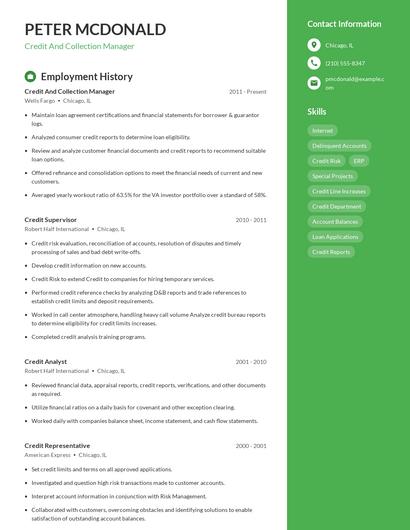 Resume example 4