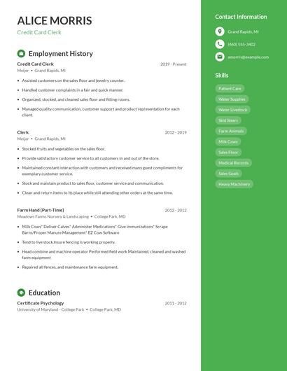 Credit Card Clerk Resume