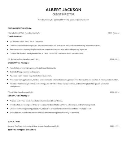 Credit Director Resume