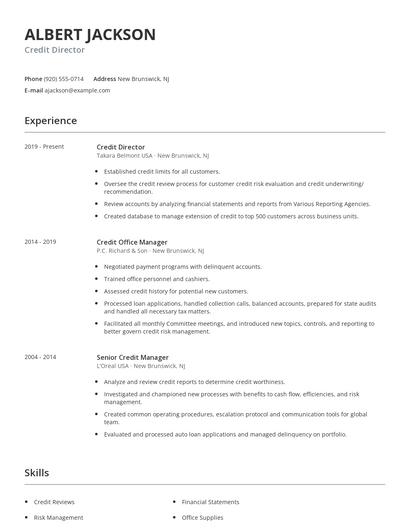 Credit Director Resume