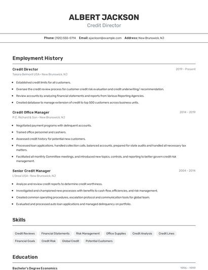 Credit Director Resume