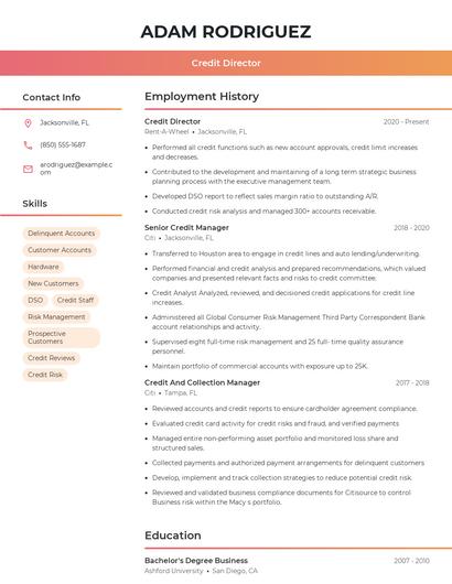 Credit Director Resume
