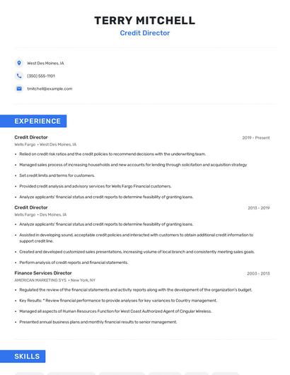 Credit Director Resume