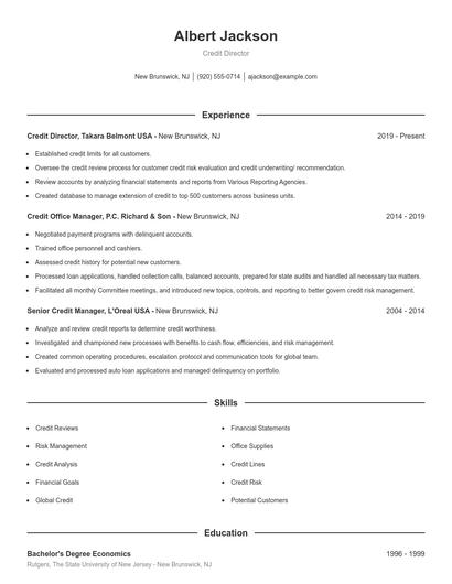 Credit Director Resume