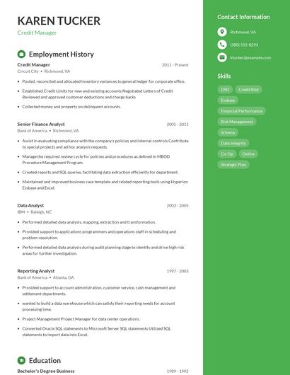 Resume example 4