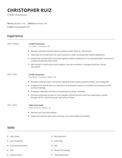 Credit Processor Resume