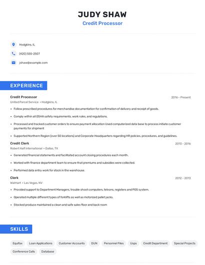 Credit Processor Resume