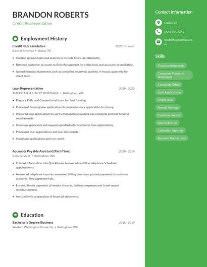 Resume example 4