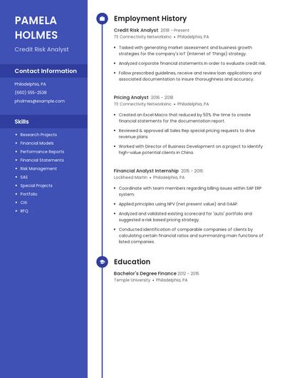 Credit Risk Analyst Resume