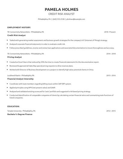 Credit Risk Analyst Resume