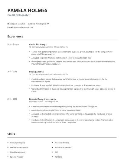 Credit Risk Analyst Resume