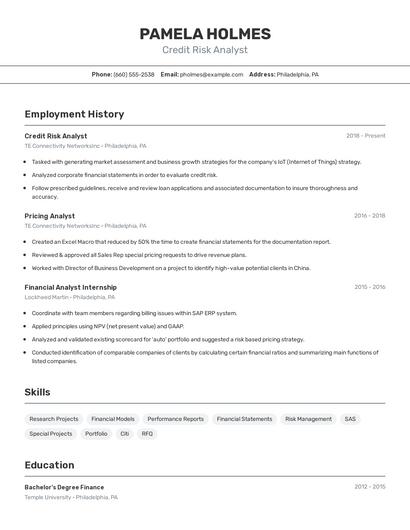Credit Risk Analyst Resume