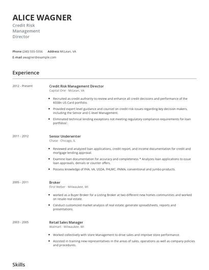 Credit Risk Management Director Resume