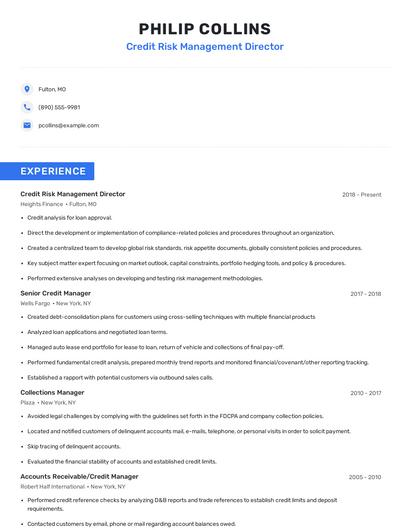 Credit Risk Management Director Resume