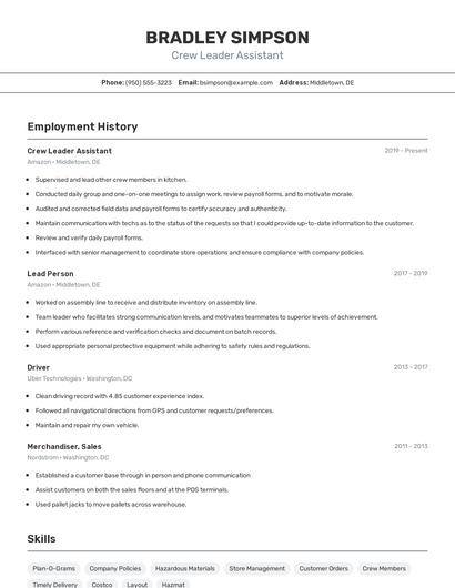 Resume example 2