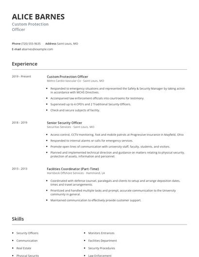 Custom Protection Officer Resume