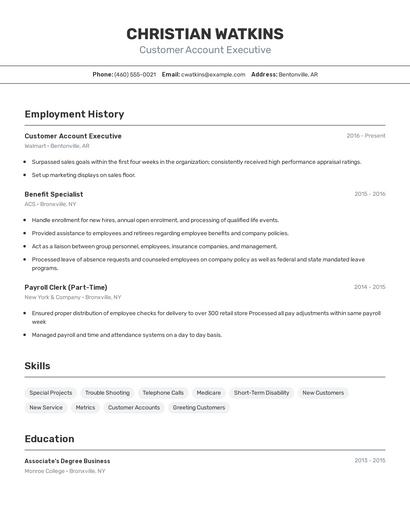 Customer Account Executive Resume
