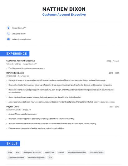 Customer Account Executive Resume