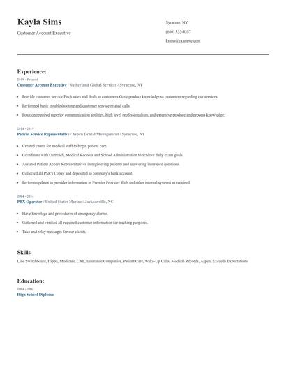 Customer Account Executive Resume