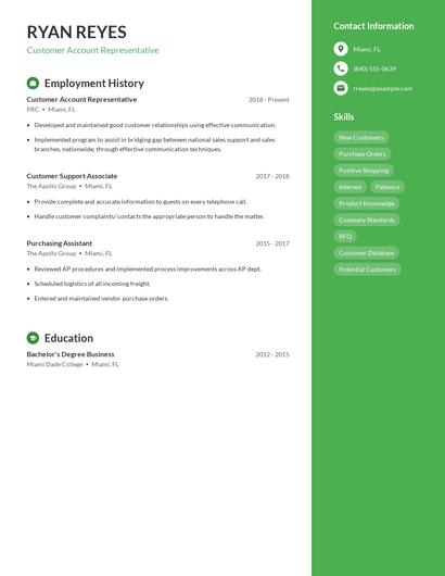 Resume example 4