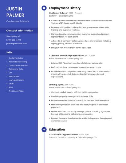 Resume example 4