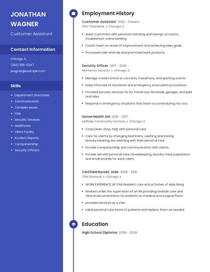 Resume example 4
