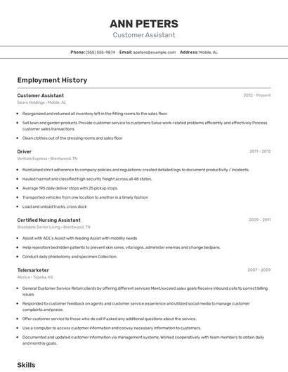 Resume example 2