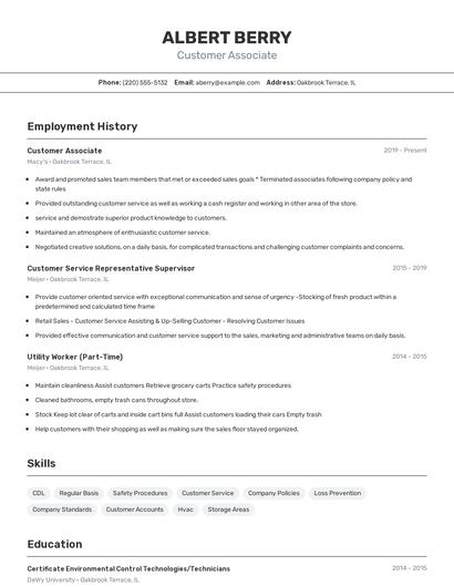 Resume example 2