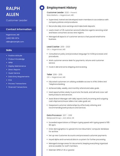 Resume example 4
