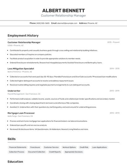Resume example 2