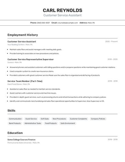 Resume example 2