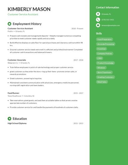 Resume example 4