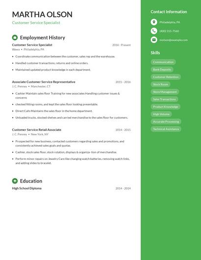 Resume example 5
