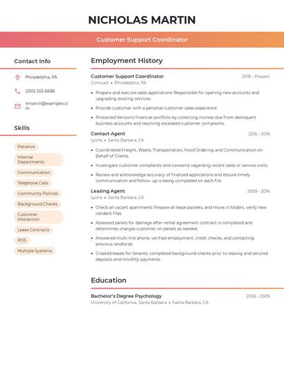 Resume example 3