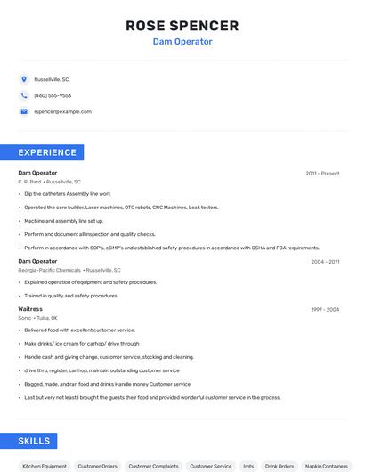 Dam Operator Resume