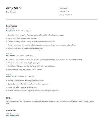 Dam Operator Resume