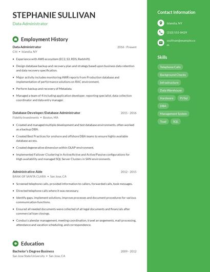 Resume example 4