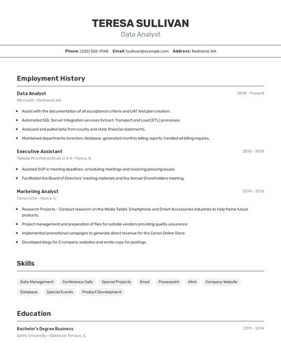 Resume example 2
