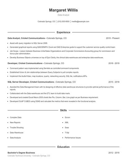 Resume example 1