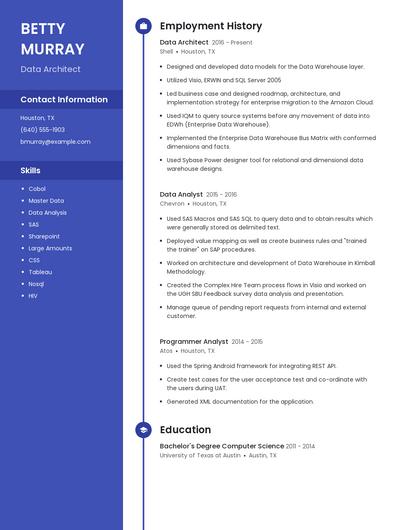Resume example 5