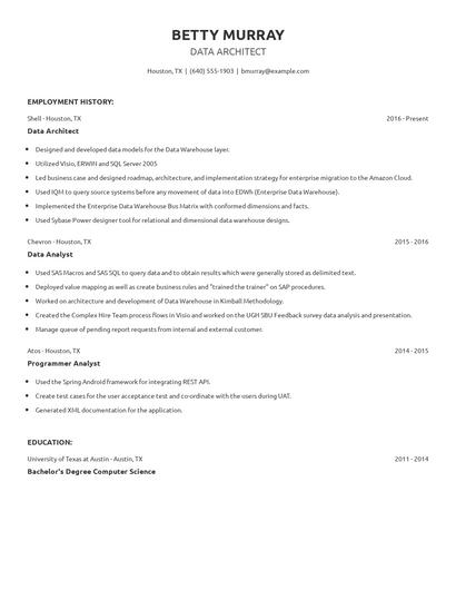 Data Architect Resume