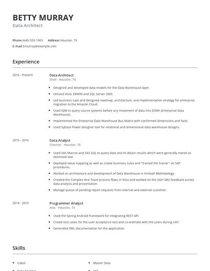 Data Architect Resume