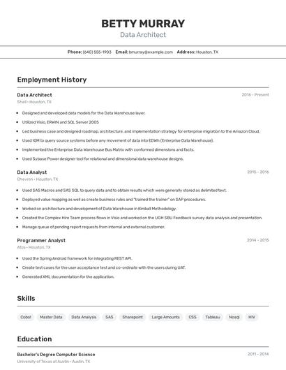 Data Architect Resume