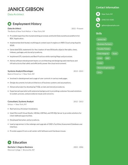 Resume example 4