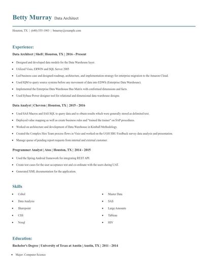 Data Architect Resume