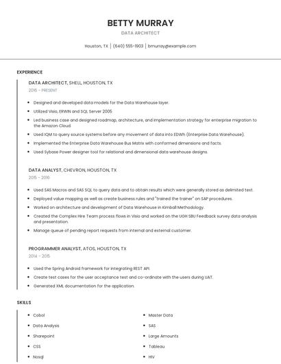 Data Architect Resume