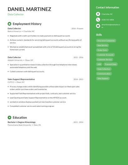 Resume example 5