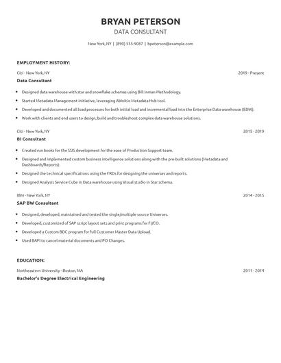 Data Consultant Resume